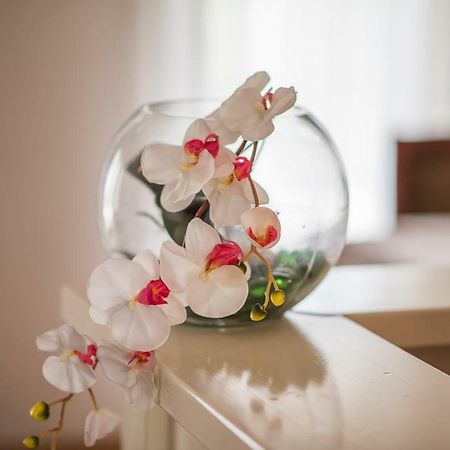 Beljan Apartments Krk Town Luaran gambar